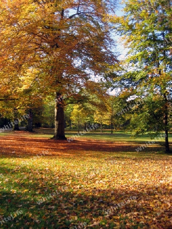 Herbst in Englischer Garten