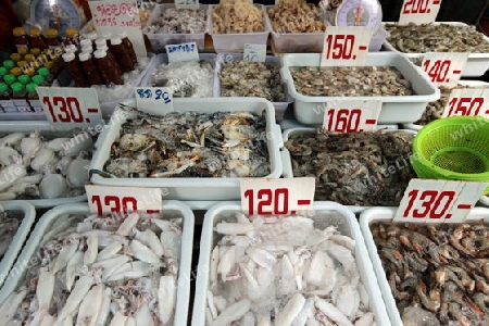 Menschen auf dem Grossen Lebensmittelmarkt von Talat Warorot in Chiang Mai im Norden von Thailand. 