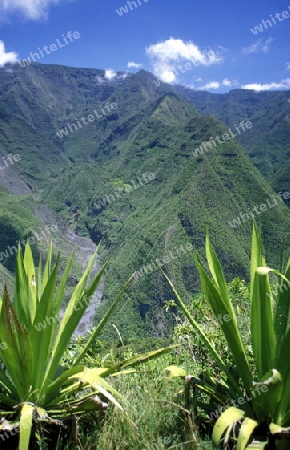 The landscape allround the Grand Bassin on the Island of La Reunion in the Indian Ocean in Africa.