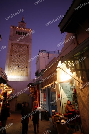 Afrika, Tunesien, Tunis, Altstadt, Medina, Souq, Altstadt,
