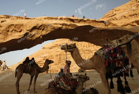 The Landscape of the Wadi Rum Desert in Jordan in the middle east.