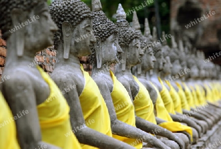 Der Wat Yai Chai Tempel in der Tempelstadt Ayutthaya noerdlich von Bangkok in Thailand.