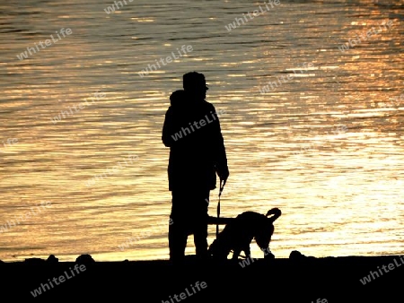 Abendspaziergang an der Elbe   