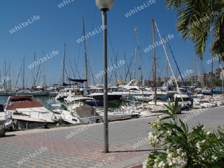 im Hafen von Palma de Mallorca