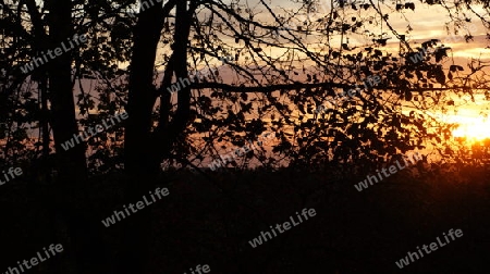 Sonnenuntergang im Harz