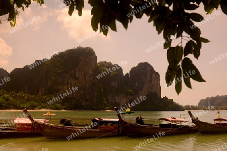 The Hat Tom Sai Beach at Railay near Ao Nang outside of the City of Krabi on the Andaman Sea in the south of Thailand. 