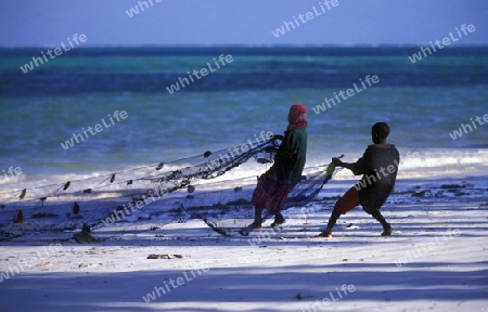 Der Traumstrand  von Michamvi am Chwaka Bay an der Ost-Kueste auf der Insel Zanzibar welche zu Tansania gehoert.         