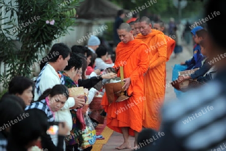 Moenche am fruehen Morgen beim einsammeln von Reis in der Altstadt von Luang Prabang in Zentrallaos von Laos in Suedostasien. 