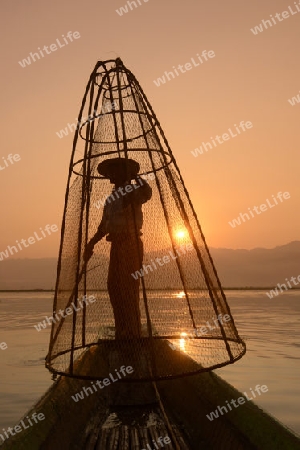 Fishermen at sunrise in the Landscape on the Inle Lake in the Shan State in the east of Myanmar in Southeastasia.