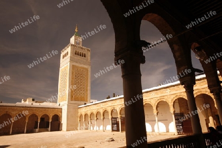 AFRIKA, NORDAFRIKA, TUNESIEN, TUNIS, ALTSTADT, MEDINA, GROSSE MOSCHEE,