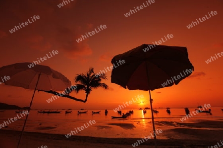 Der Strand  von Hat Sai Ri auf der Insel Ko Tao im Golf von Thailand im Suedwesten von Thailand in Suedostasien. 