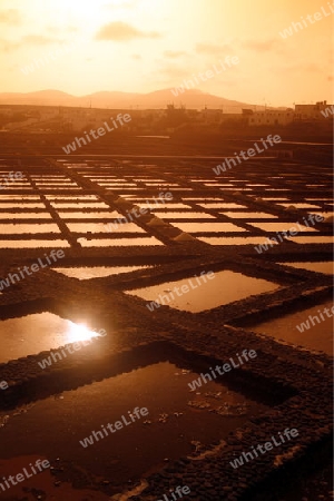 the Salinas of Las Salinas on the Island Fuerteventura on the Canary island of Spain in the Atlantic Ocean.