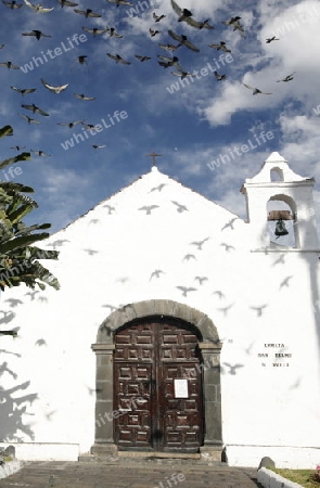 The Iglesia  San Telmo of  Puerto de la Cruz on the Island of Tenerife on the Islands of Canary Islands of Spain in the Atlantic.  