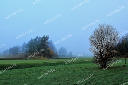 Herbstnebel