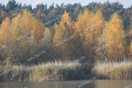 Herbstimpressionen 2