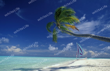 
Der Traumstrand mit Palmen und weissem Sand an der Insel Velavaru im Southmale Atoll auf den Inseln der Malediven im Indischen Ozean.   