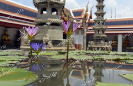 Der Wat Phra Kaew in der Stadt Bangkok in Thailand in Suedostasien.