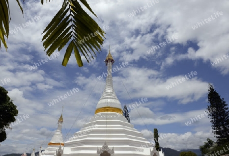 Der Tempel Wat Phra That Doi Kong Mu ueber dem Dorf Mae Hong Son im norden von Thailand in Suedostasien.