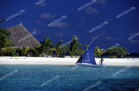 
Der Traumstrand mit Palmen und weissem Sand an der Insel Velavaru im Southmale Atoll auf den Inseln der Malediven im Indischen Ozean.   