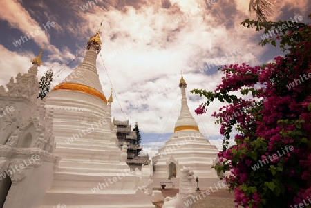 Der Tempel Wat Phra That Doi Kong Mu ueber dem Dorf Mae Hong Son im norden von Thailand in Suedostasien.