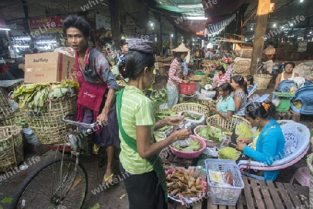 Betel nut at a Market near the City of Yangon in Myanmar in Southeastasia.