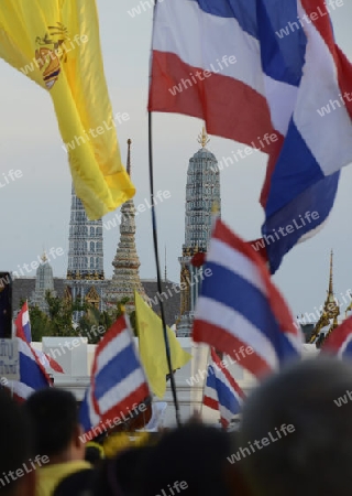 Tausende von Thailaender zelebrieren den Kroenungstag des Koenig Bhumibol auf dem Sanam Luang Park vor dem Wat Phra Kaew in der Stadt Bangkok in Thailand in Suedostasien.  