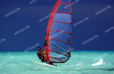 
Ein Surfer am Strand der Insel Meeru im Northmale Atoll auf den Inseln der Malediven im Indischen Ozean.  FLUEELER)