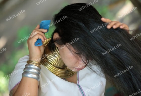 Eine Traditionell gekleidete Langhals Frau eines Paudang Stammes aus Burma lebt in einem Dorf noerdlich von Chiang Mai in Nord Thailand. 