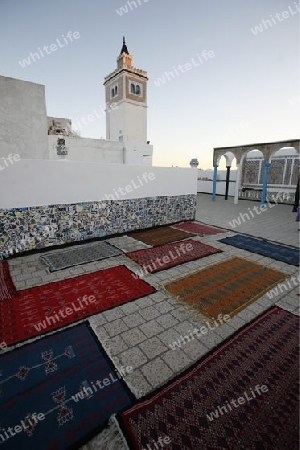 Afrika, Nordafrika, Tunesien, Tunis, Hauptstadt,  Altstadt, Architektur, Souq, Markt, Bazaar, Moschee, Minarett, Medina, Teppichhandel, Teppichladen,
Ein Tepichladen und eine Moschee im Traditionellen Souq oder Markt oder Bazaar in der Altstadt oder 