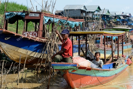 The Lake Village Kompong Pluk at the Lake Tonle Sap near the City of Siem Riep in the west of Cambodia.