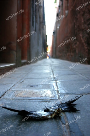 Tod in Venedig