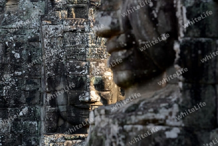 Stone Faces the Tempel Ruin of Angkor Thom in the Temple City of Angkor near the City of Siem Riep in the west of Cambodia.