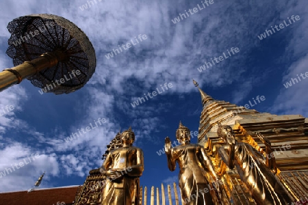 Der Chedi der Tempel Anlage des Wat Phra That Doi Suthep bei Chiang Mai in der Provinz Chiang Mai im Norden von Thailand in Suedostasien.