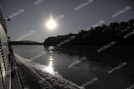 wien_donaukanal_twin liner02