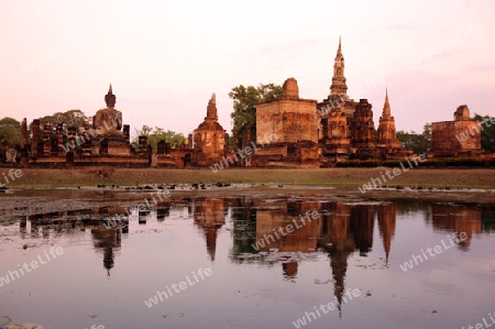 Der Wat Mahathat Tempel in der Tempelanlage von Alt-Sukhothai in der Provinz Sukhothai im Norden von Thailand in Suedostasien.