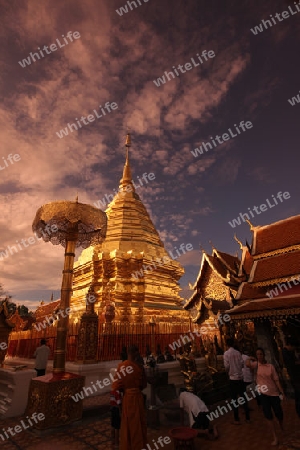 Der Chedi der Tempel Anlage des Wat Phra That Doi Suthep bei Chiang Mai in der Provinz Chiang Mai im Norden von Thailand in Suedostasien.