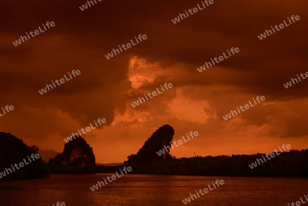 The mangroves at a lagoon near the City of Krabi on the Andaman Sea in the south of Thailand. 