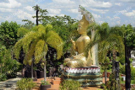 Der Tempel Wat Tham Khu Ha Sawan in Khong Jiam am Mekong River in der naehe des Pha Taem Nationalpark in der Umgebung von Ubon Ratchathani im nordosten von Thailand in Suedostasien.