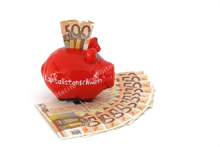 Sparschwein mit der Aufschrift " Kapitalistenschwein" und diversen 50 Euro Banknoten