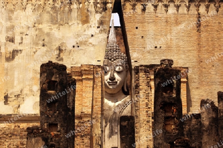 Die Buddha Figur  im Wat Si Chum Tempel in der Tempelanlage von Alt-Sukhothai in der Provinz Sukhothai im Norden von Thailand in Suedostasien.