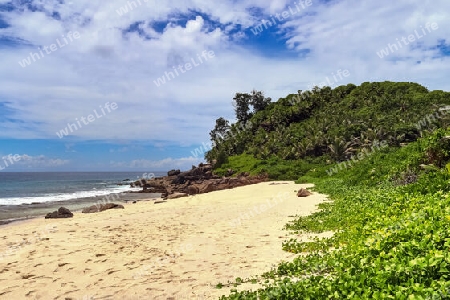 Sunny day beach view on the paradise islands Seychelles.