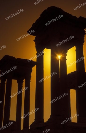 Die Ruinen von Palmyra in der Wueste Faydat in Syrien im Mittleren Osten in Arabien.