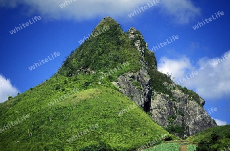 
Eine Berglandschaft im Zentrum der Insel Mauritius in Indischen Ozean vor Afrika.   