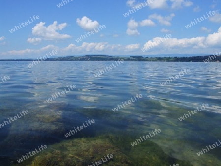 Murtensee 1