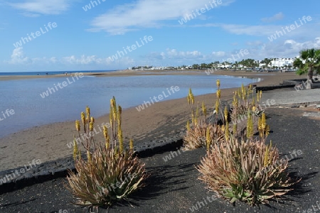 K?stenlandschaft in Puerto del Carmen, Lanzarote