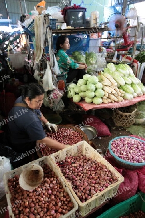 Menschen auf dem Grossen Lebensmittelmarkt von Talat Warorot in Chiang Mai im Norden von Thailand