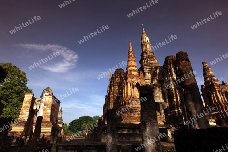 Der Wat Mahathat Tempel in der Tempelanlage von Alt-Sukhothai in der Provinz Sukhothai im Norden von Thailand in Suedostasien.