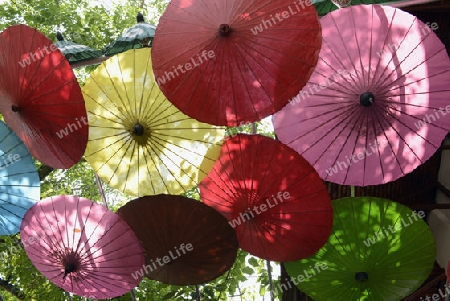 Traditionalle Schirme und Faecher aus Paier werden produziert in einer Papierschirm Fabrik in Chiang Mai im norden von Thailand in Suedostasien.