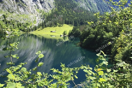 Obersee, Fischunkel- Alm