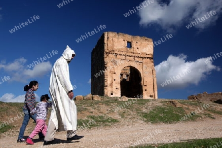 The Citywall in the old City in the historical Town of Fes in Morocco in north Africa.